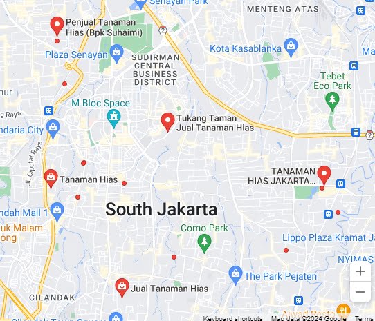 Jual tanaman hias terdekat