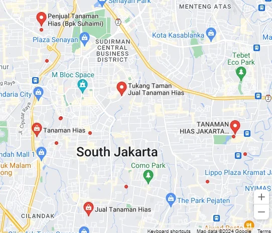 Jual tanaman hias terdekat
