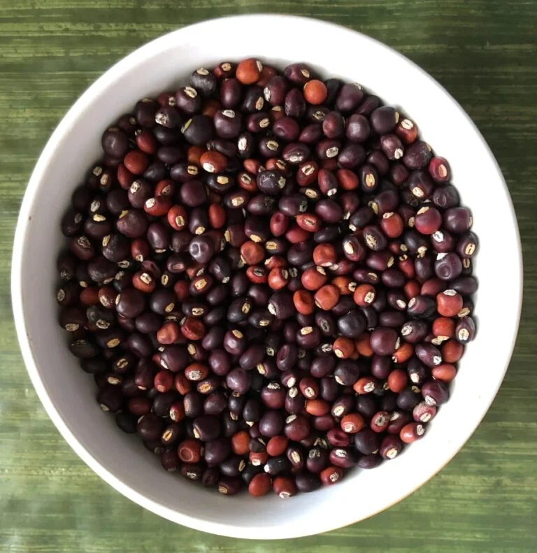 kacang gude