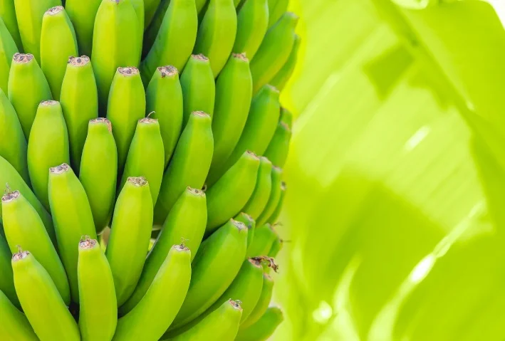 pisang ambonn