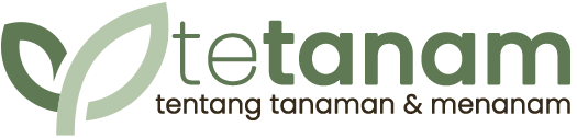 tetanam.com