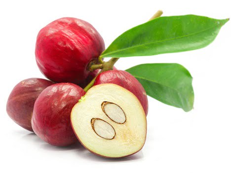 tetanam | Tanaman Mahkota Dewa mahkota dewa