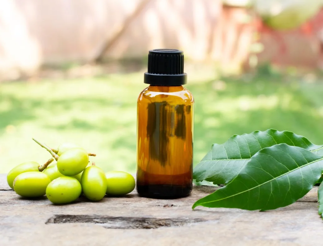 minyak neem