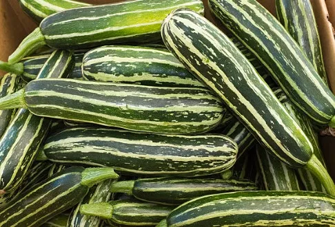 Sayur Krai