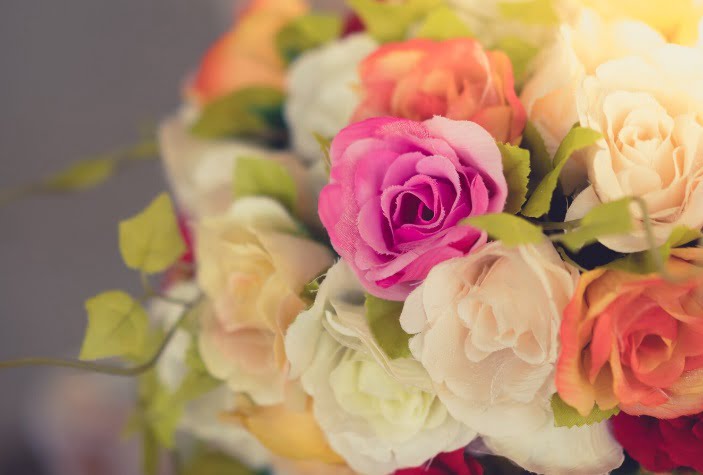 tetanam | Tanaman Berbunga Cantik untuk Mempercantik Taman Anda tanaman berbunga cantik