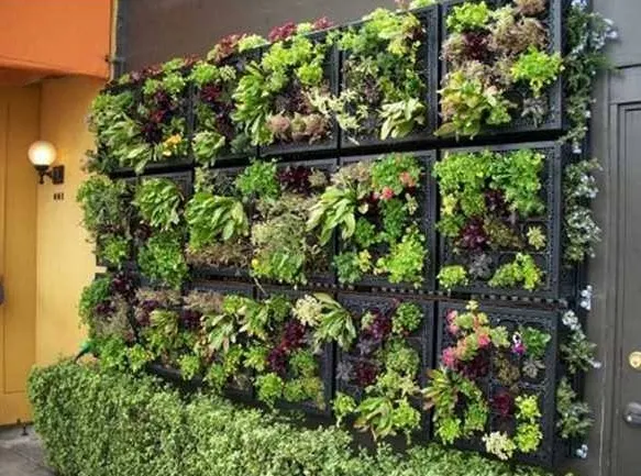 vertical garden