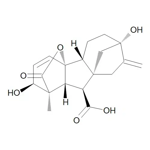 zpt