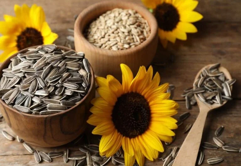 obat sakit gigi herbal