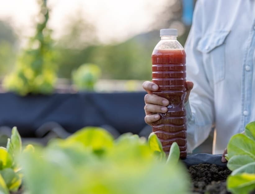 jenis pupuk organik cair