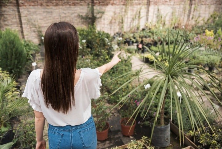 tetanam | Tanaman Hias Outdoor: Karakteristik dan Jenisnya Tanaman hias outdoor