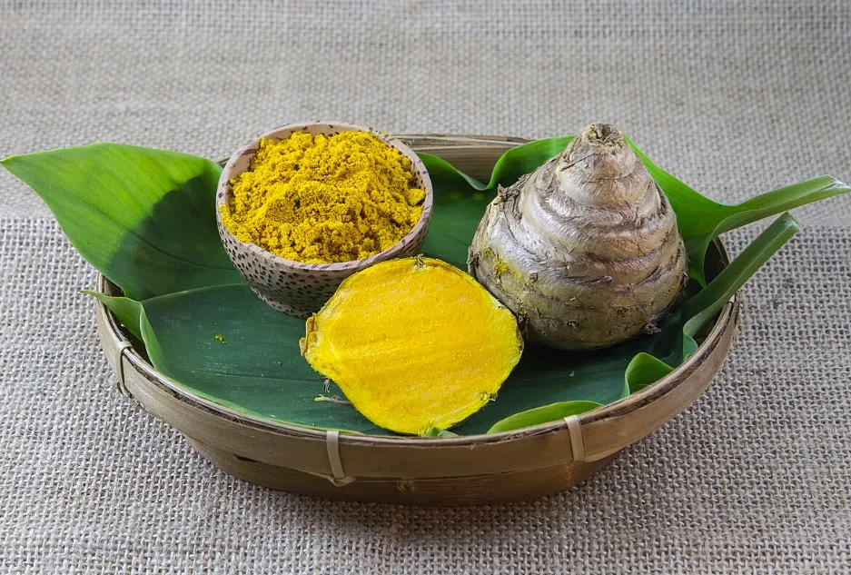 tanaman herbal untuk hepatitis