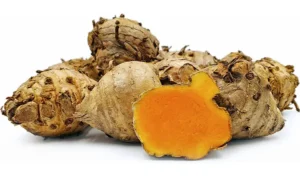 Temu Lawak : Tanaman Herbal untuk Hepatitis