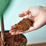 cocopeat adalah