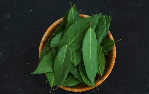 Daun Salam : Dari Kuliner sampai Kesehatan