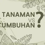 perbedaan tanaman dan tumbuhan