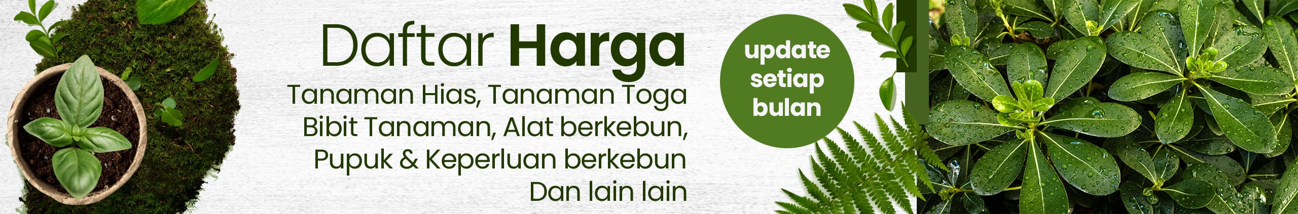 daftar harga tanaman
