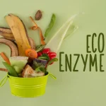 eco enzyme adalah