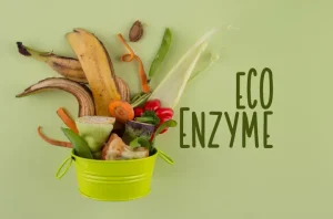 eco enzyme adalah
