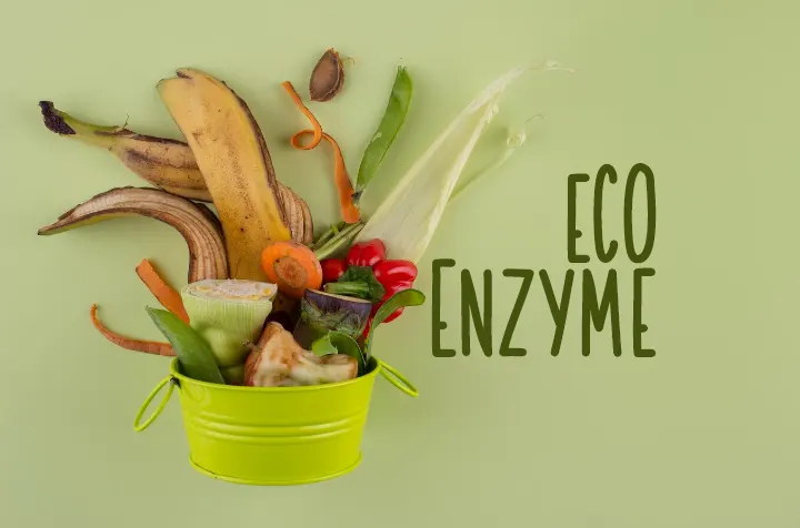 tetanam | Eco Enzyme : Dari Kesehatan sampai Pembersih Serbaguna eco enzyme adalah