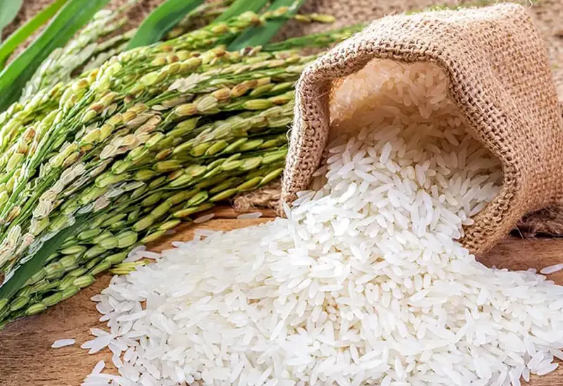 tanaman pangan adalah