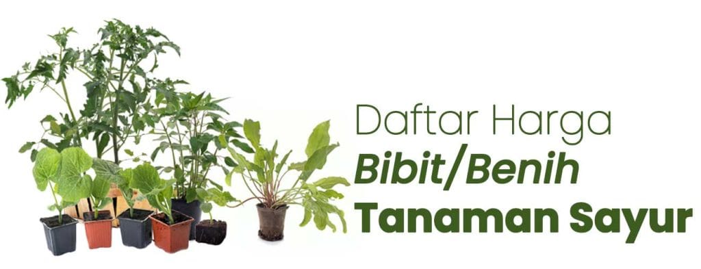 tetanam | Daftar Harga Tanaman & Sarana Menanam harga bibit tanaman sayur