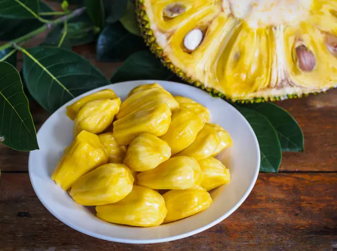 nangka adalah