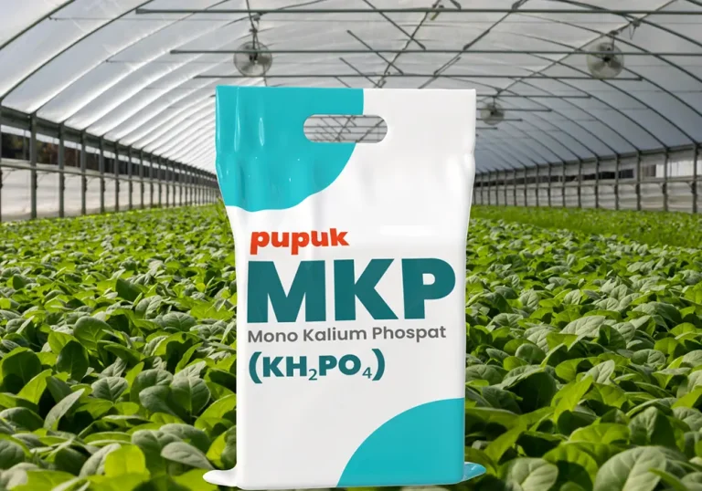 pupuk mkp
