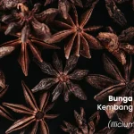 tanaman bunga lawang