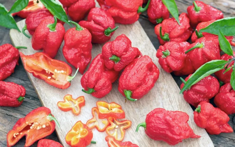 cabe carolina reaper