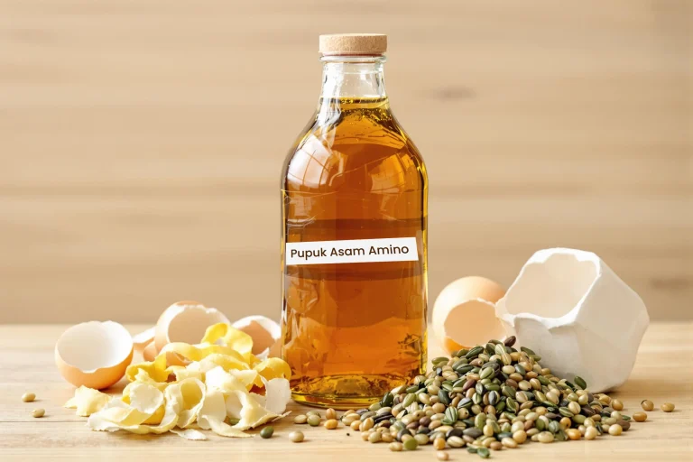 tetanam | Mudahnya Cara Membuat Pupuk Asam Amino untuk Tanaman Subur cara membuat pupuk asam amino