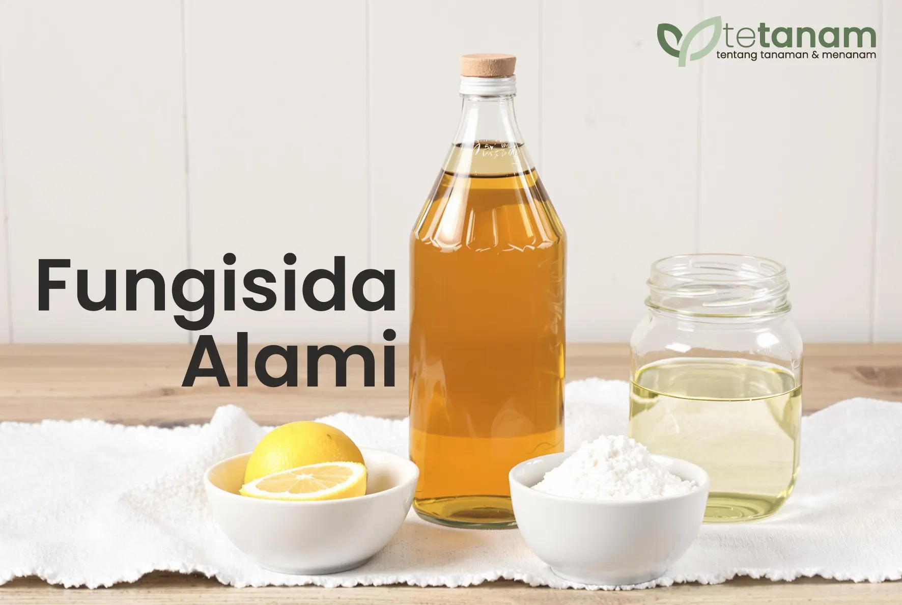 cara membuat fungisida alami