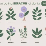 tanaman paling beracun didunia