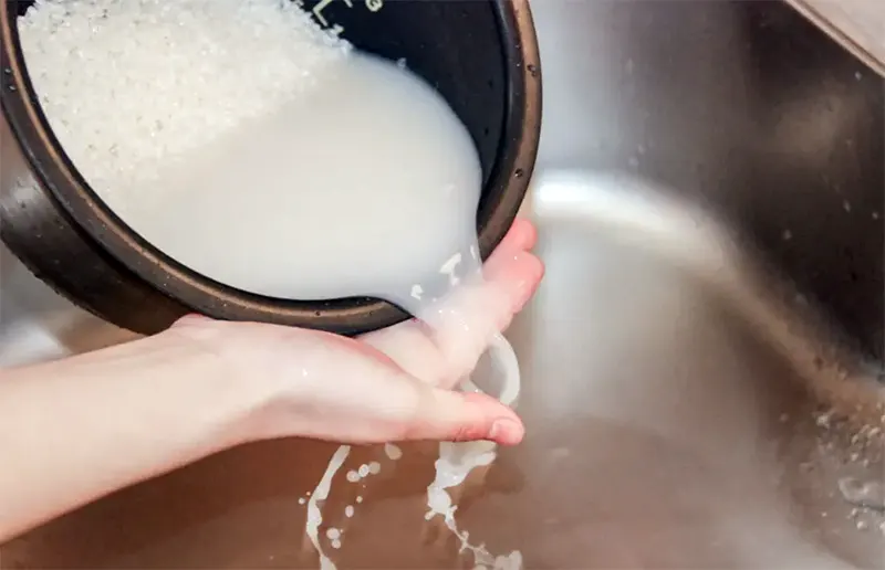 tetanam | Air Cucian Beras untuk Tanaman: Suburkan & Sehatkan Tanaman! air cucian beras untuk tanaman