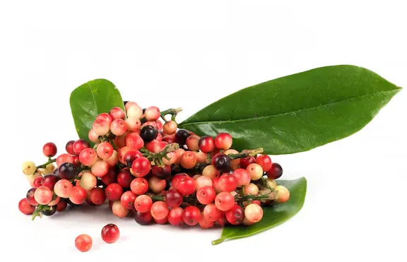 tetanam | Buah Buni: Manfaat & Keajaiban Kesehatan dari Hutan Tropis buah buni