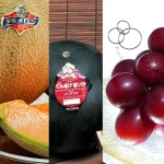 buah termahal di dunia