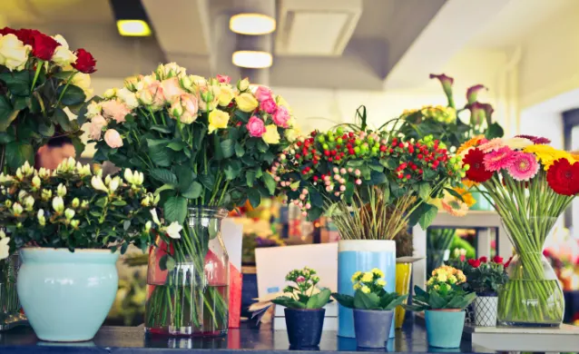 tetanam | Budidaya Bunga Potong: Analisa Usaha & Tips Sukses budidaya bunga potong