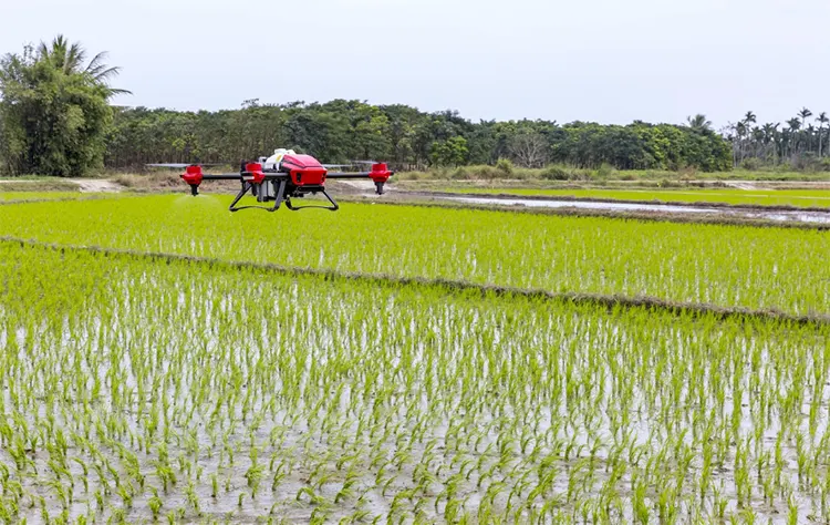 tetanam | IoT Pertanian: Masa Depan di Genggaman Petani Cerdas? iot pertanian drone