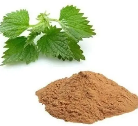 cara konsumsi daun jelatang