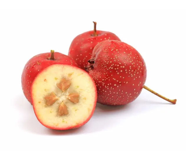 khasiat buah hawthorn
