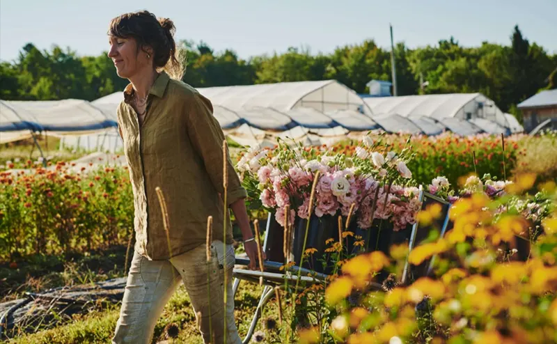 tetanam | Budidaya Bunga Potong: Analisa Usaha & Tips Sukses budidaya bunga potong