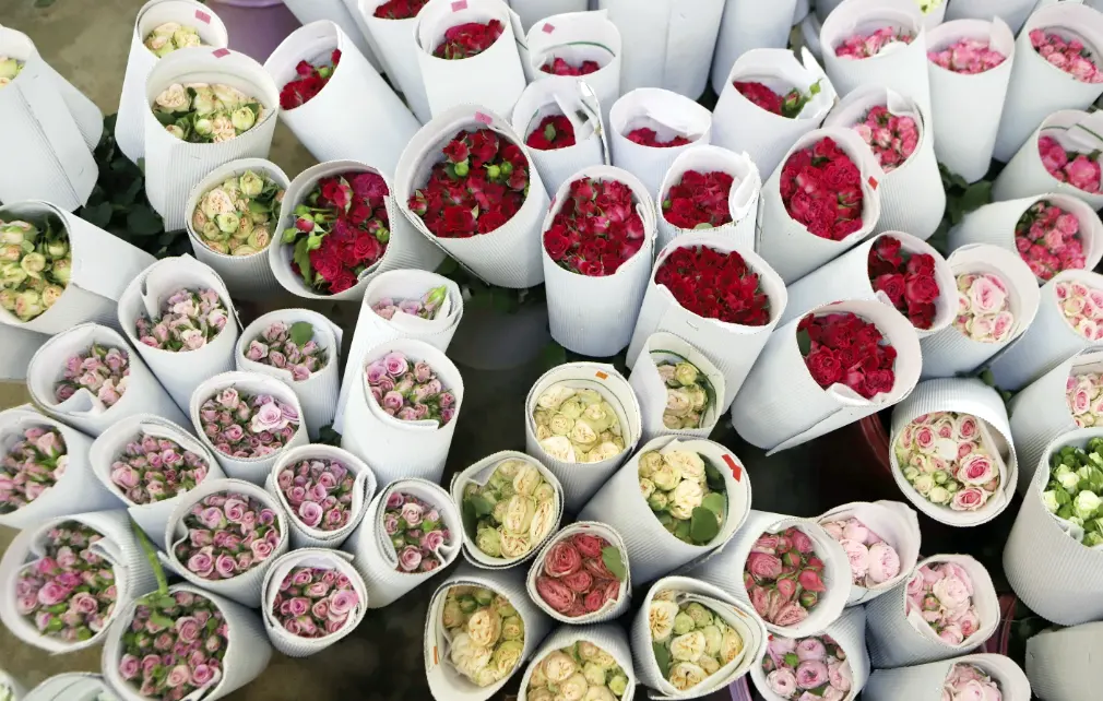 tetanam | Budidaya Bunga Potong: Analisa Usaha & Tips Sukses budidaya bunga potong