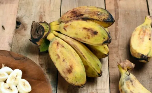 pisang kepok adalah
