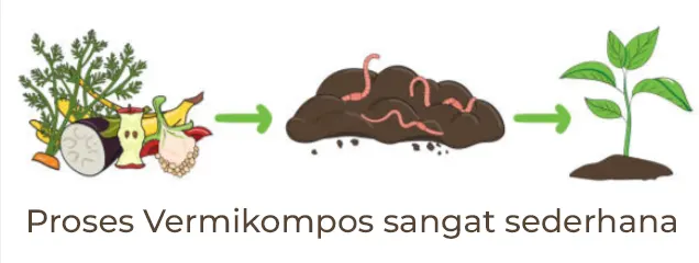 tetanam | Vermikompos: Pupuk Ajaib? Buktikan Sendiri di Kebun Anda! vermikompos