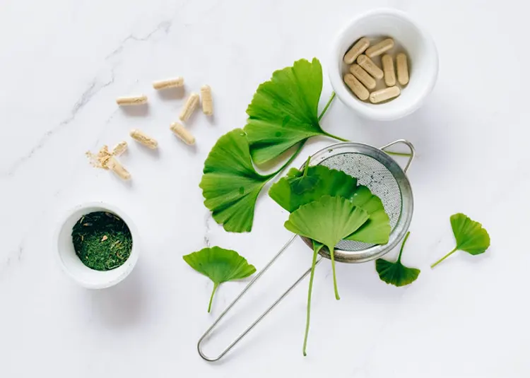 ginkgo biloba adalah