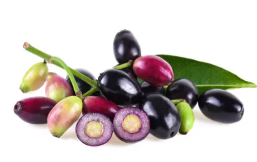 tetanam | Buah Jamblang: Hitam Manis, Buah Jadul yang Kembali Viral! buah jamblang