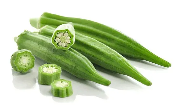 tetanam | Sayur Bendi: Bukan Sekadar Lalapan, Tapi Juga Obat Mujarab! khasiat sayur bendi