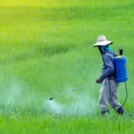 tetanam | Pestisida: Solusi Instan, Risiko Jangka Panjang? Wajib Tahu! pestisida adalah