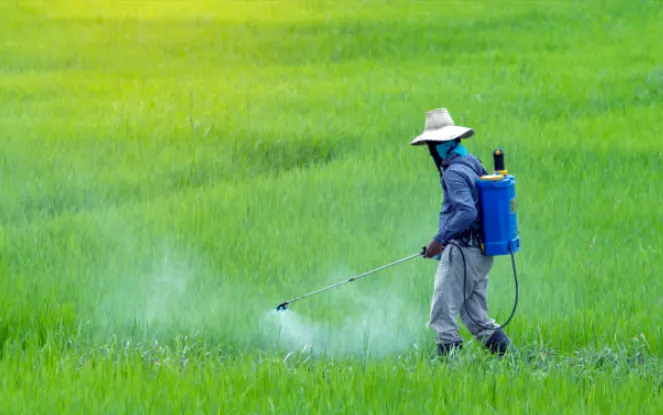 tetanam | Pestisida: Solusi Instan, Risiko Jangka Panjang? Wajib Tahu! pestisida adalah