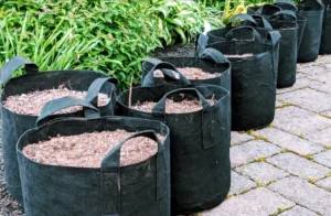 Planter Bag: Solusi Praktis Berkebun di Lahan Sempit