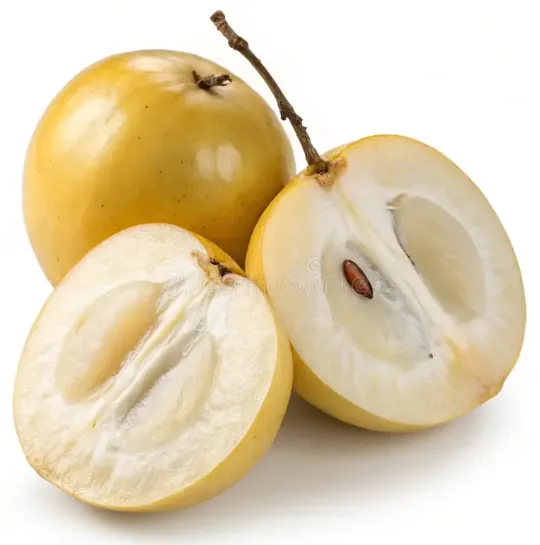 tetanam | Keajaiban Buah Abiu: Manfaat dan Nutrisi Dari Sawo Australia buah abiu